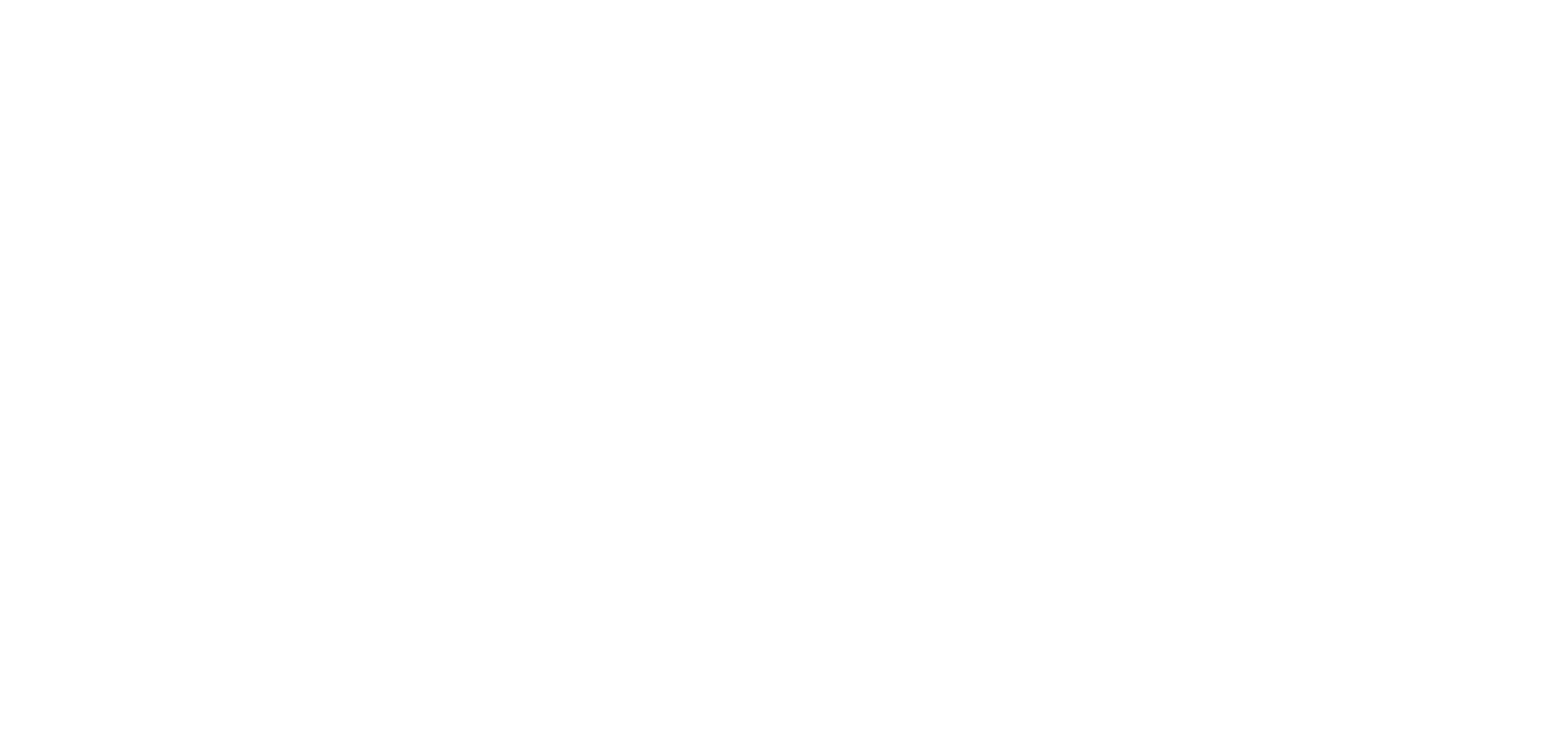 Noticias Pintumex